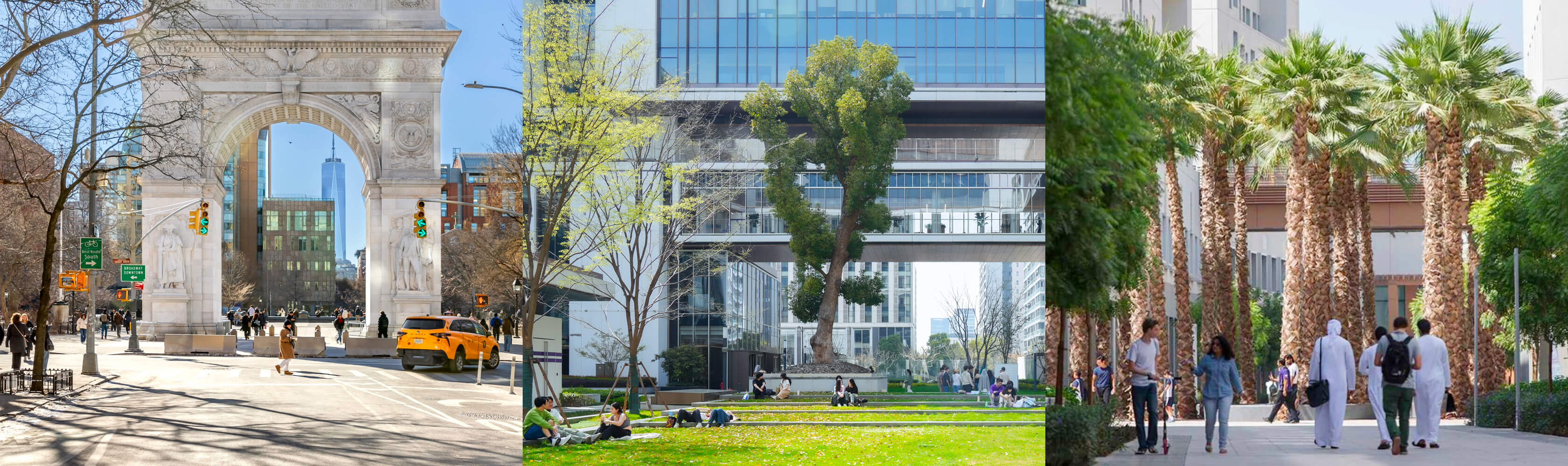 Serendipity Undergraduate Research Fellowships